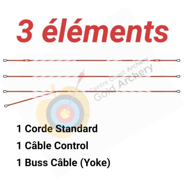 Cablage LBS 3 elements