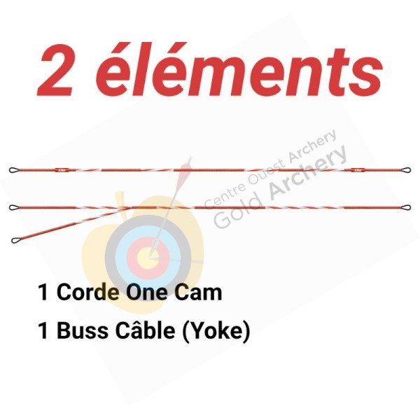 Cablage LBS 2 elements